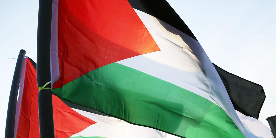 Palestiinan lippuja