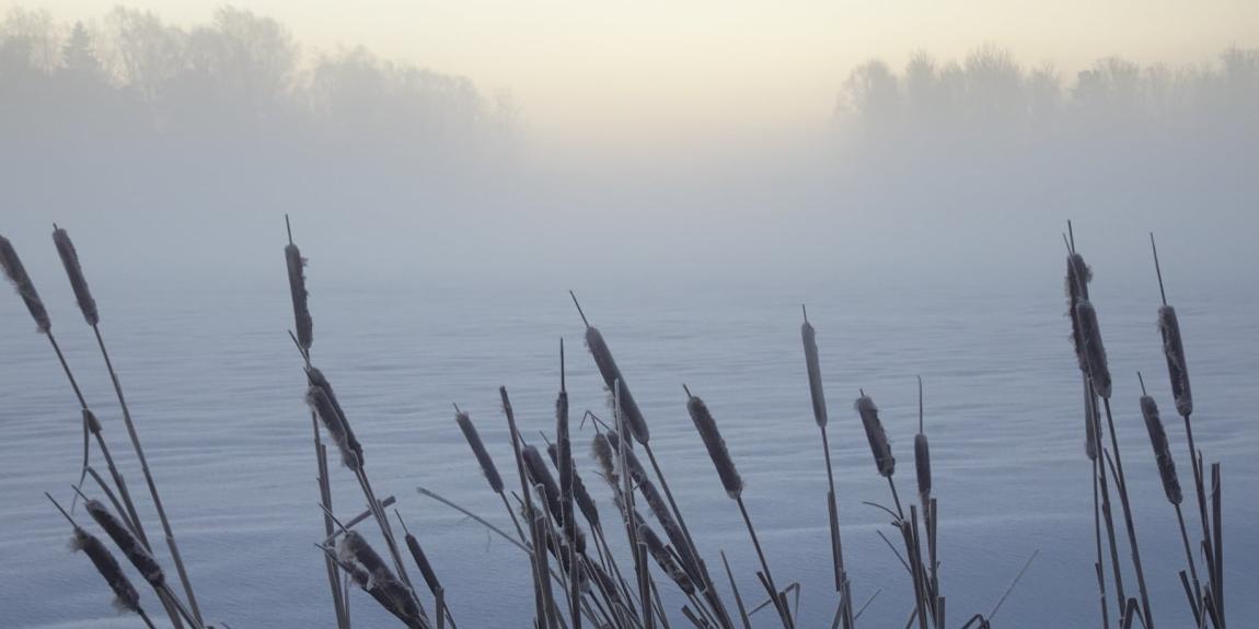 Talvinen sumu kuva Toivo Koivisto