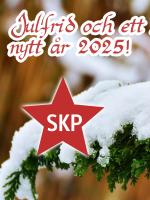 Julfrid och ett bättre nytt år 2025