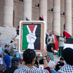 Palestiina-solidaarisuusmielenosoitus Eduskuntatalon edessä, kuvassa kylttejä ja Palestiinan lippuja