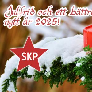 Julfrid och ett bättre nytt år 2025