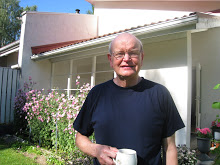 Seppo Ruotsalainen: "Eräs keskeinen kysymys on