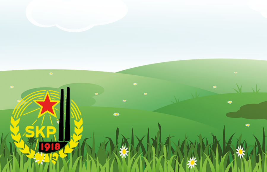 Keskuskomitea kesäkokous 2017