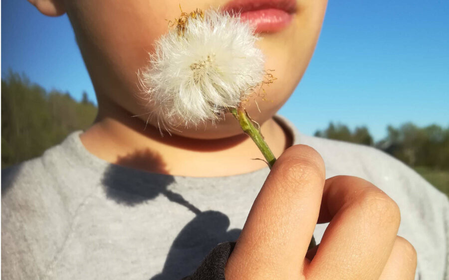 Annammeko lasten tulevaisuuden lentää tiehensä