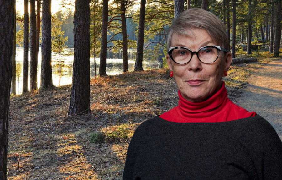 Liisa Taskinen metsätaustalla.
