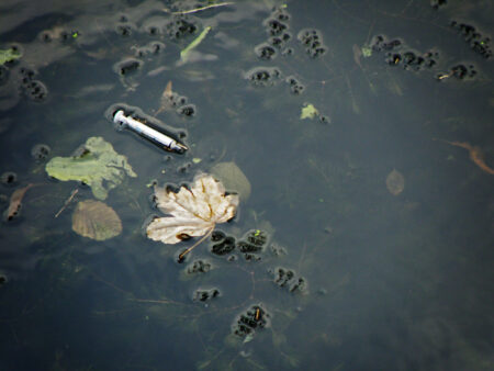 Lääkeruisku kelluu lammikossa.