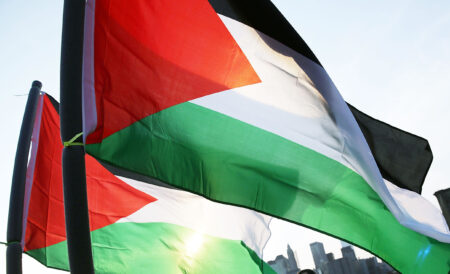 Palestiinan lippuja