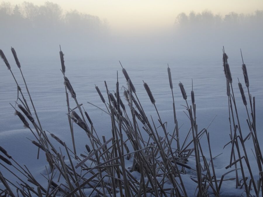Talvinen sumu kuva Toivo Koivisto