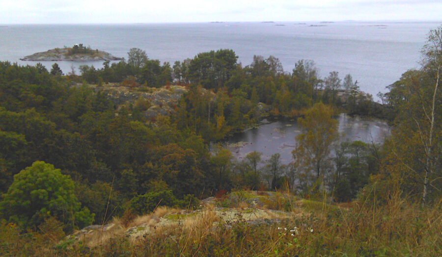 Vaalisaaren eteläinen suojeltu osa nähtynä Aleksanterin patterilta käsin.