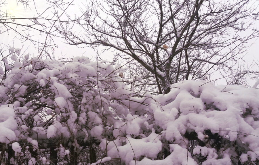 Joulu tulee kaikille tasapuolisesti