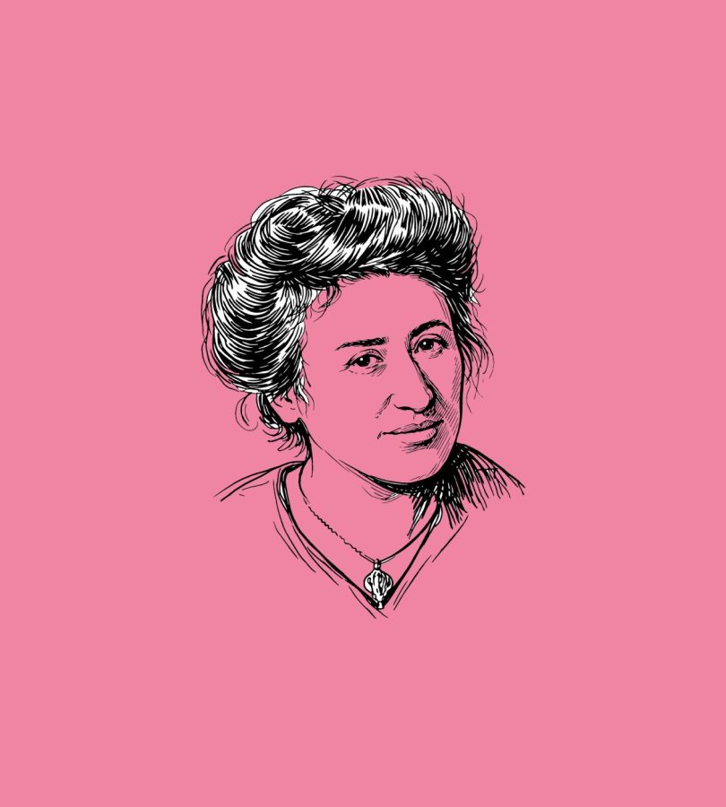 Rosa kuva Vaaleanpunainen vallankumous